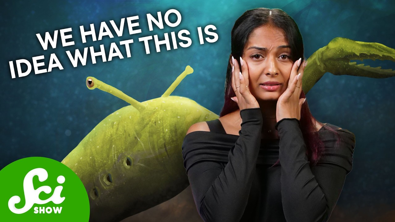 Mazon Creek 346: SciShow “The Bizarre Case of the Tully Monster”